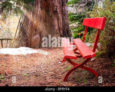 Old red wooden bench in a park Stock Photo