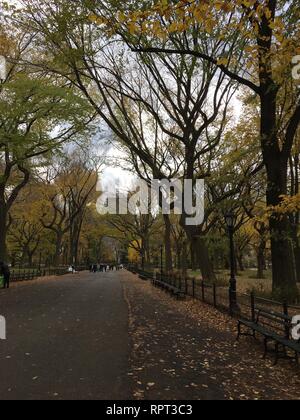 New York City, New York, USA. Nov 18, 2017.  Central Park in autumn. Stock Photo