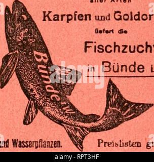 . Allgemeine Fischerei-Zeitung. Beste Forellen Eier, Brut und Setzlinge • Mar Arten CS U § a &lt; Karpfen und Qoldorfen Fischzucht in Bünde l w.. Please note that these images are extracted from scanned page images that may have been digitally enhanced for readability - coloration and appearance of these illustrations may not perfectly resemble the original work.. MÃ¼nchen [etc. ] Landesfischereiverband Bayern [e Stock Photo