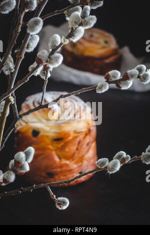 Easter cake kranch with icing sugar on a dark background and with willow flowers. Stock Photo