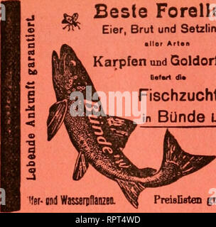 . Allgemeine Fischerei-Zeitung. Beste Forellen Eier, Brut und Setzlinge • Her Arten Karpfen und Goldorfen Deferl die Fischzucht in Bünde l w.. o Hl 9 PreisDsten gntia. 5ifd?3ud?t ülanent^al Station PolTatt itt ^«tbeit liefert Billigl't »tut unb «e^Iinge ber Sai$&lt; unb llegenBogenforeDe unb be§ Sai^faifilittgS. Fritz Zicgenspecü, Berlin sua, liefert nur erstklassige. Please note that these images are extracted from scanned page images that may have been digitally enhanced for readability - coloration and appearance of these illustrations may not perfectly resemble the original work.. MÃ¼nchen Stock Photo