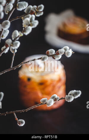 Easter cake kranch with icing sugar on a dark background and with willow flowers. Stock Photo