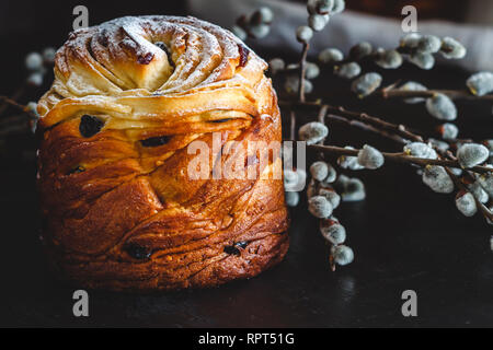 Easter cake kranch with icing sugar on a dark background and with willow flowers. Stock Photo
