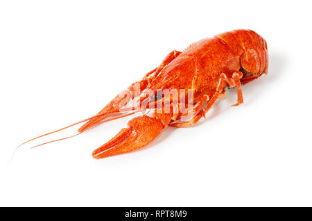 Seafood dish, Red boiled crayfish. Kind of Snacks for beer. Stock Photo