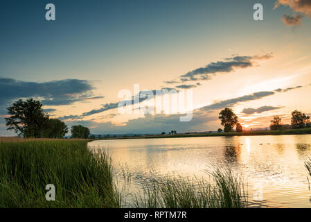 Silhouette tree at sunset in lake in summer. Stock Photo