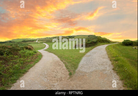 fork in the road concept image Stock Photo