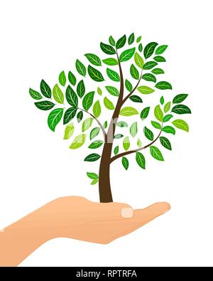 Tree with green leaves in hand isolaed on white background. Eco concept. Vector illustration. Stock Vector
