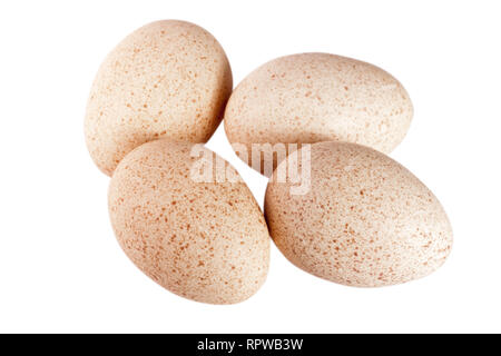 four turkey eggs isolated on white background close-up Stock Photo