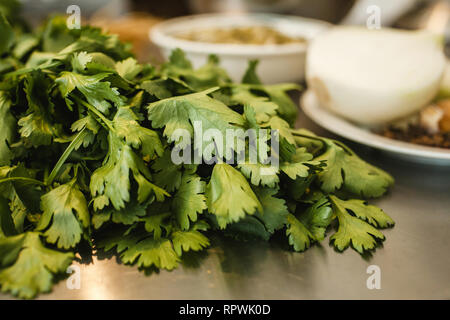 Ingredients for Mexican food coriander in mexico Stock Photo