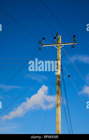 A Utility or telegraph pole. Stock Photo