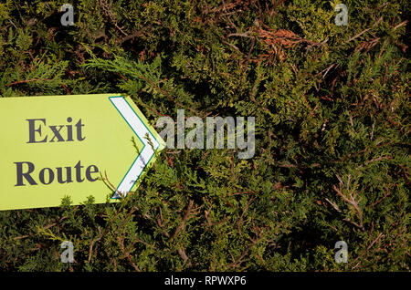 An Exit Route sign pointing towards a hedge. Stock Photo