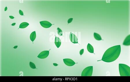 Creative illustration spring season green leafs background decorative. Vector illustration EPS 10. Stock Vector
