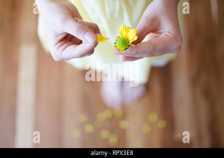 Girl picking petals off a flower Stock Photo