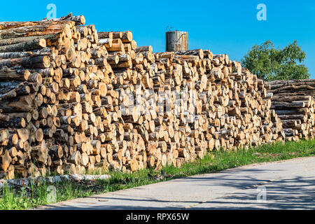 Sawn tree trunks on the side of the road. Stock Photo