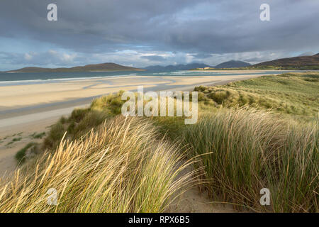 A windy morning on the dunes at Seilebost, Isle of Harris, Outer Hebrides, Scotland Stock Photo