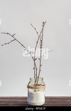 Flowering branches in a jar with easter eggs as decor. Coming spring. Easter concept. Glass jar on wooden desk isolated against white background. Copy Stock Photo