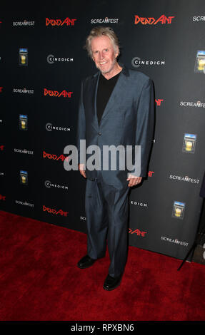 Premiere Of 'Dead Ant'  Featuring: Gary Busey Where: Hollywood, California, United States When: 22 Jan 2019 Credit: FayesVision/WENN.com Stock Photo