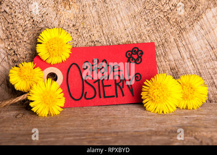 Red Label With German Calligraphy Frohe Ostern Means Happy Easter. Beuatiful Handlettering With Flower. Dandelion Blossom On Wooden Rustic Background Stock Photo