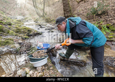 Adventures on river. Gold prospector is filling a sieve with sand Stock Photo
