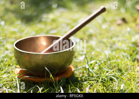 Metal singing bowl in the grass of the own garden, zen Stock Photo
