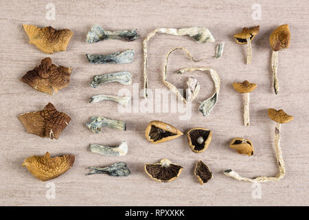 Dried magic mushrooms from above. Knolling flat lay background. Entheogen, alternative medicine. Stock Photo