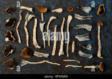 Dried magic mushrooms from above. Knolling flat lay background. Natural remedy. Stock Photo