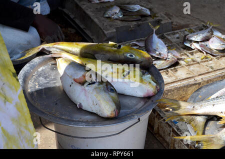 Busy fish market in Mbour, Senegal, a regional trade hub Stock Photo