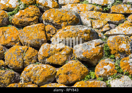 Yellowmoss growing at the bronze age satones at an archeological site in Sardinia, Italy Stock Photo
