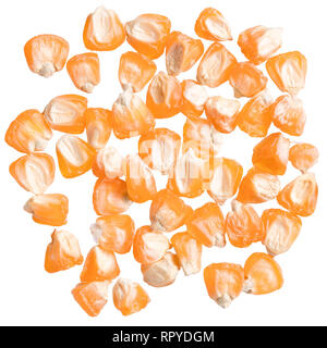 A heap of quality seeds of corn, for your personal garden. Stock Photo