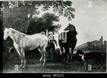 'A descriptive catalogue of the pictures in the Fitzwilliam museum, comp. largely from materials supplied by Sidney Colvin ..' (1902) Stock Photo