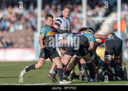 Twickenham, London, UK. 23rd Feb, 2019. Charlie Mulchrone of Harlequins in action during Gallagher Premiership match between Harlequins and Bristol Bears at Twickenham Stoop on Saturday, 23 February 2019. LONDON ENGLAND. (Editorial use only, license required for commercial use. No use in betting, games or a single club/league/player publications.) Credit: Taka G Wu/Alamy News Credit: Taka Wu/Alamy Live News Stock Photo