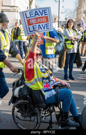 London, UK. February 23rd 2019. Pro Brexit ÔYellow VestsÕ marched escorted by police from Trafalgar Square down Whitehall and Parliament Street to Parliament Square. Traffic was held longest outside Downing Street and at the Parliament Square junction. Angry drivers sounded their horns. The ÔYellow VestsÕ then marched back again. They carried placards stating Leave Means Leave, supporting leaving the EU without a deal. Credit: Stephen Bell/Alamy Live News. Stock Photo