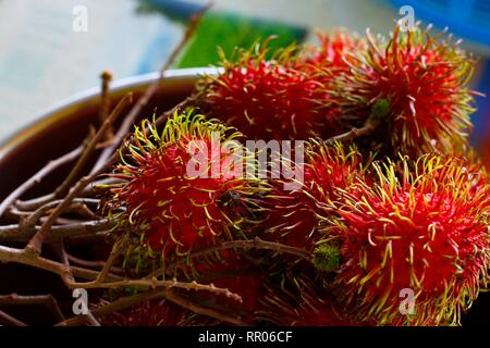 bunch of fresh Rambutan, red and hairly tropical fruits