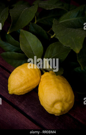 lemons on the dark wooden table Stock Photo