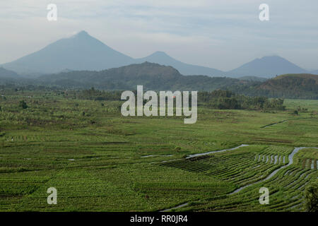 Farming in Western Uganda below the Virunga Mountains, Uganda Stock Photo