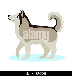 Pretty Alaskan Malamute icon, big furry dog, isolated on white background Stock Vector