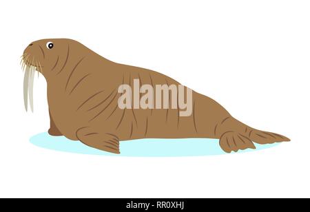 Walrus icon, big marine mammal, isolated on white background Stock Vector