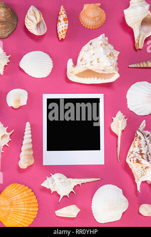 Seashells and the blank retro image on purple background Stock Photo