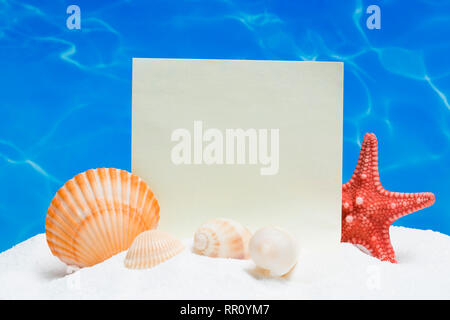Summer background with the seashells and a blank note Stock Photo