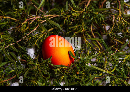 Red easter egg hidden in grass with snow egg hunting Stock Photo