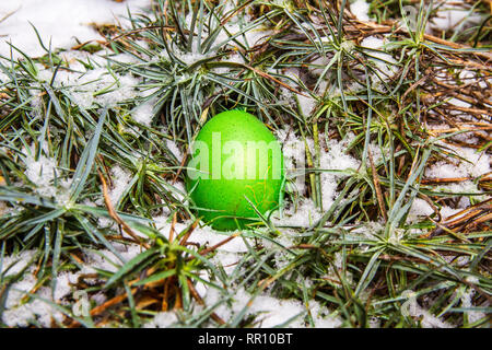 Green easter egg hidden in grass with snow egg hunting Stock Photo