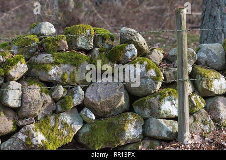 Traditional old mossy stone wall and barbed wire as a fence in a farmland Stock Photo