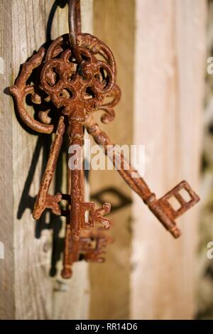 Bunch of old rusty keys Stock Photo