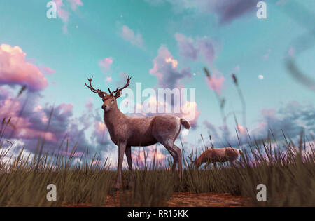 Deer in grass field at sunset or sunrise,3d illustration Stock Photo