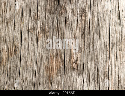Texture of old rough wood. Abstract background for design. Vintage retro Stock Photo