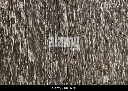 Texture of old rough wood. Abstract background for design. Vintage retro Stock Photo