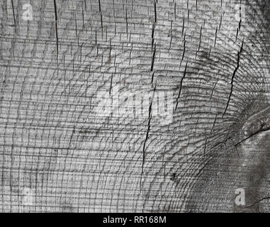 Texture of old rough wood. Abstract background for design. Vintage retro Stock Photo