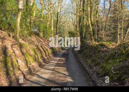 Sunken road (sunken lane, also called a Holloway or hollow way) through The Hurtwood in the Surrey Hills Area of Outstanding Natural Beauty, UK Stock Photo