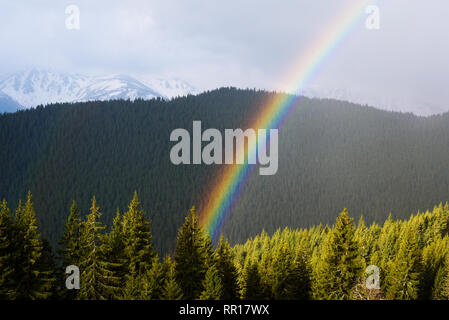 Landscape with a rainbow. Spring in the mountains. Sunny day. Spruce forest on the hillsides Stock Photo