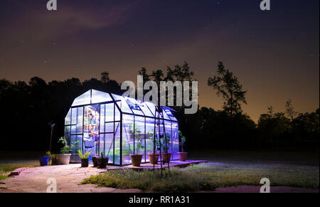 Greenhouse lighted at night with stars behind and door open Stock Photo